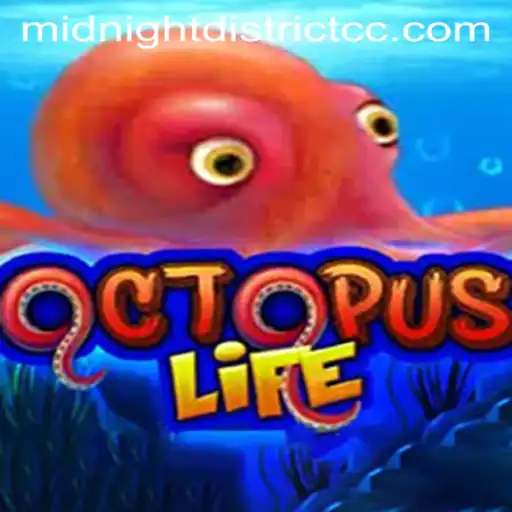 Dive into the Exciting World of OctopusLife in the Mysterious MIDNIGHTDISTRICT